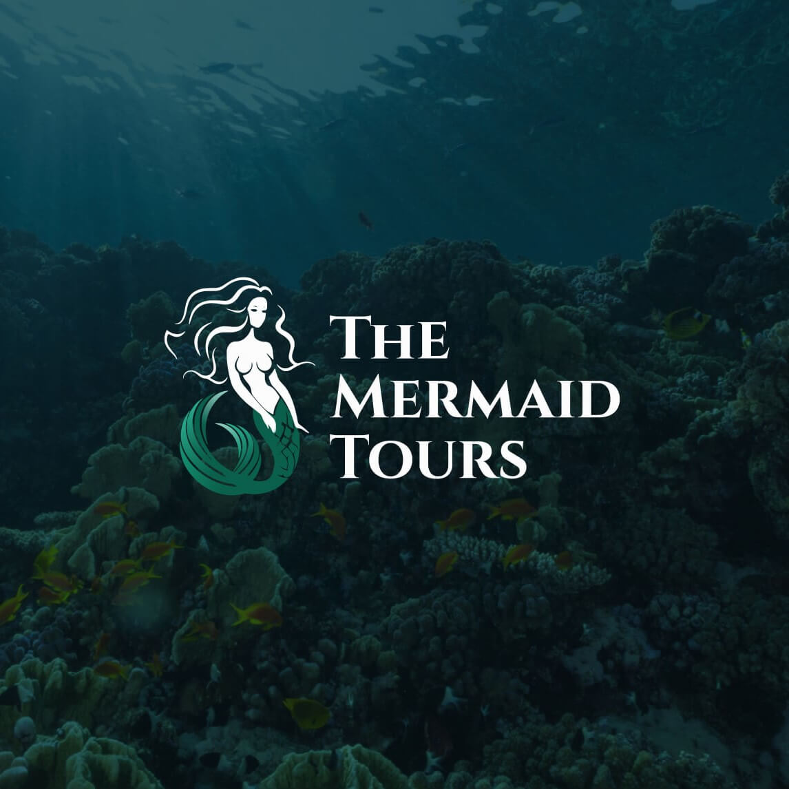 Altum Software - The Mermaid Tours Cover