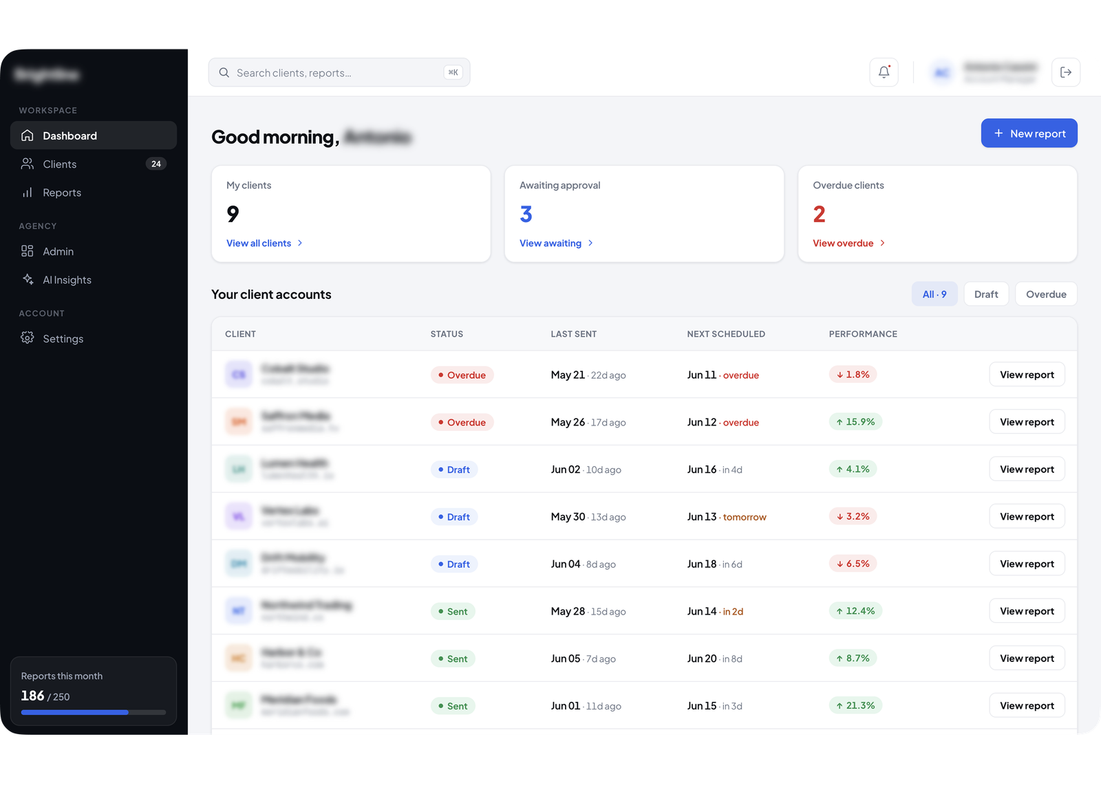 Automated client report generation interface for marketing agency Netherlands | Altum Software
